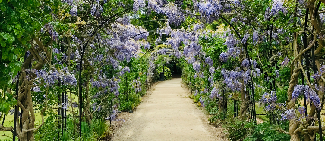 floral archway